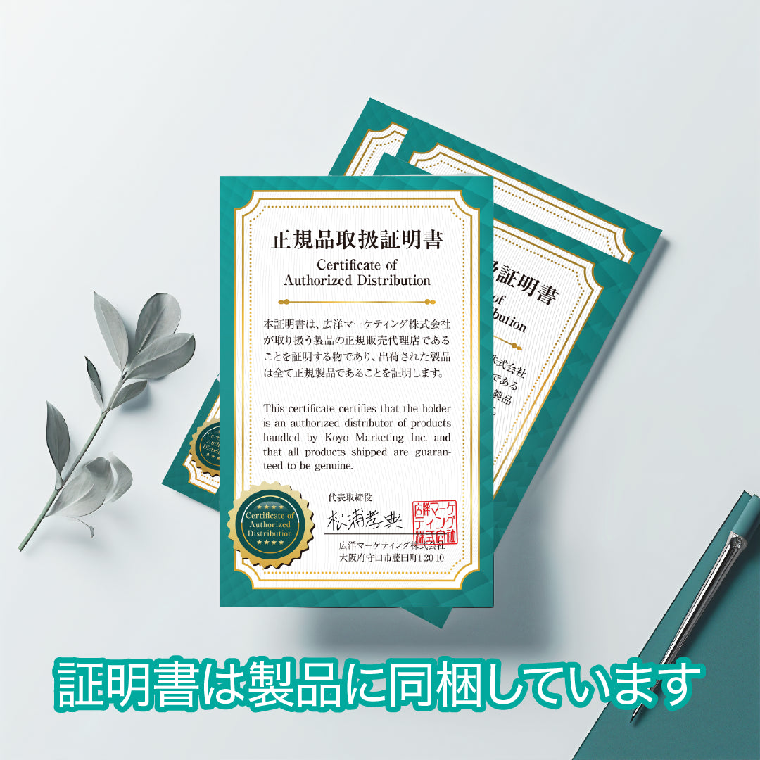 磁気ネックレス ANGLE e.MODEL 01 プラチナ