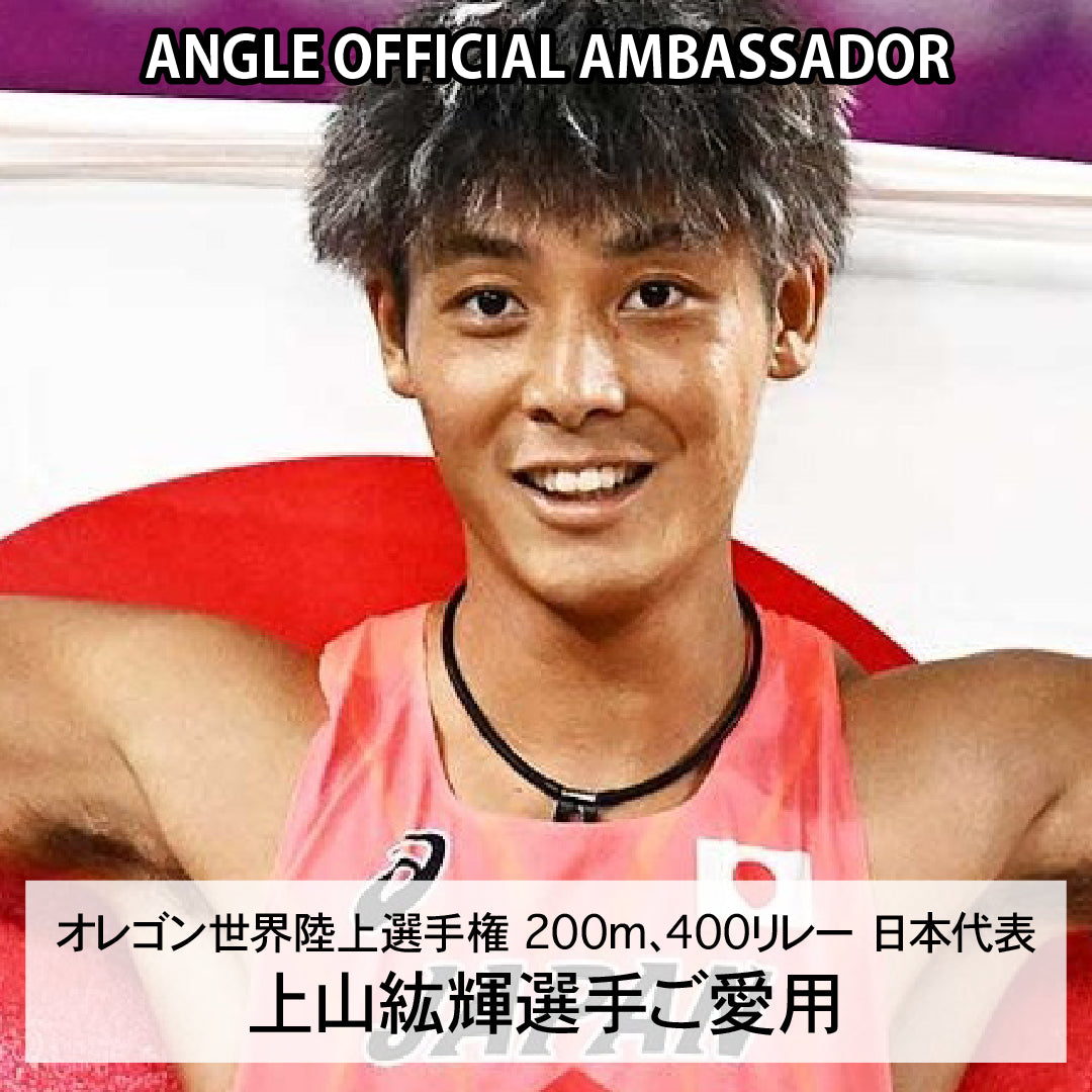 磁気ネックレス ANGLE e.MODEL 02 プラチナ