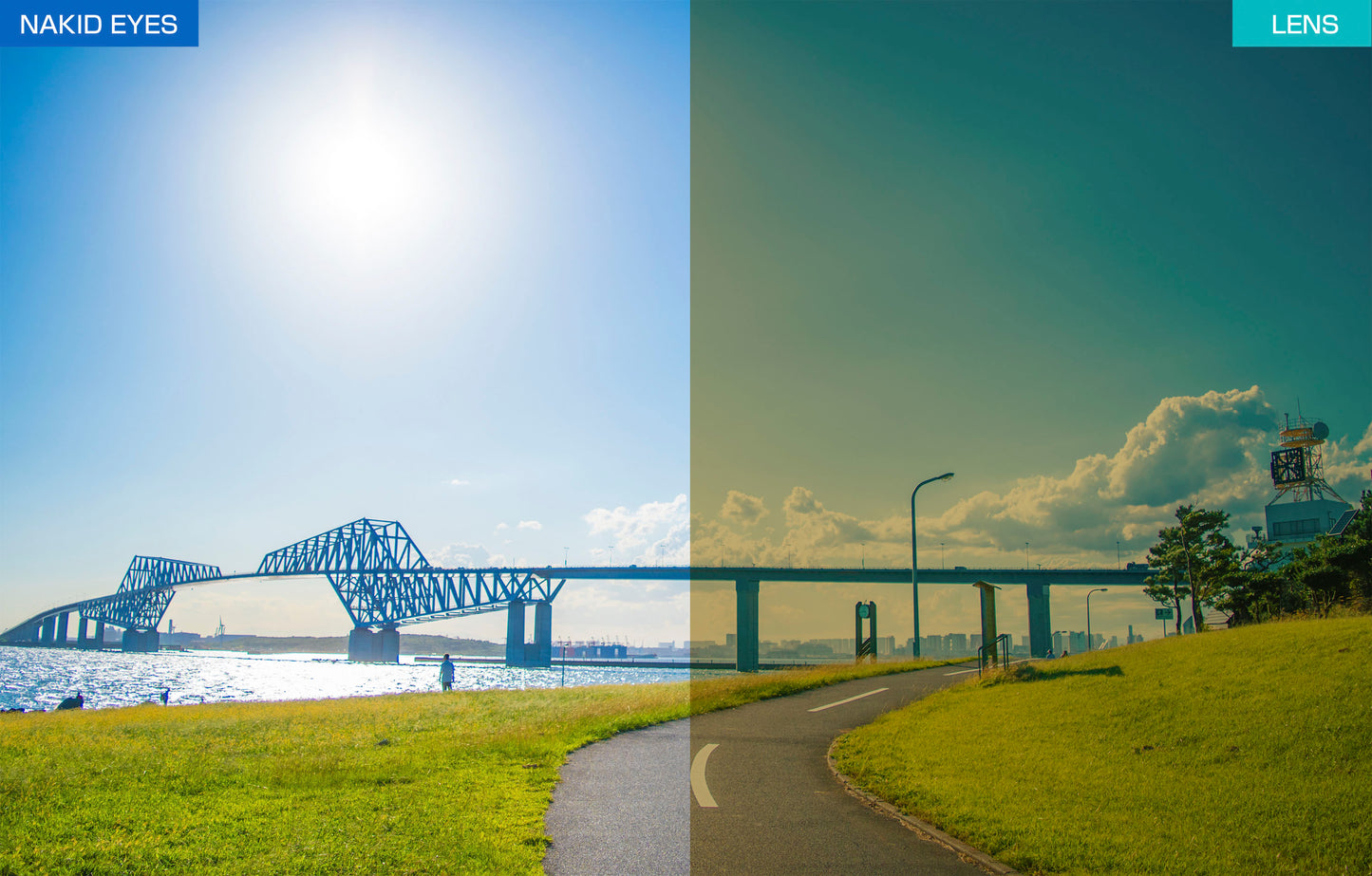 Air Fly AF-301 C-5WV