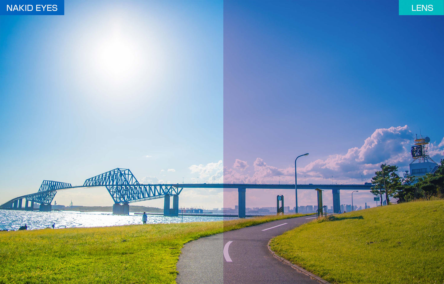 Air Fly AF-302 C-4WP