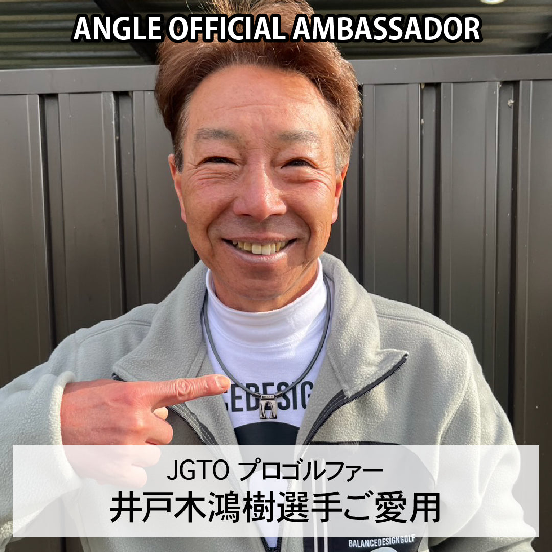 磁気ネックレス ANGLE e.MODEL 01 ピュアゴールド（24金 Plating）