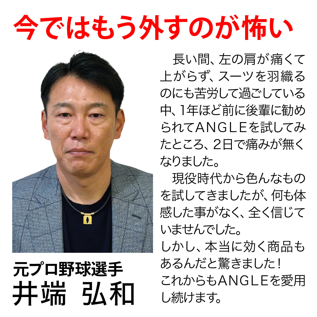 磁気ネックレス ANGLE e.MODEL 01 ブラック